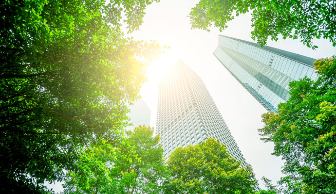 Sustainability and Performance